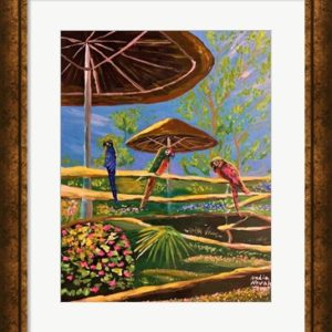 PARROTS AT LION COUNTRY SAFARI - (LIMITED EDITION)