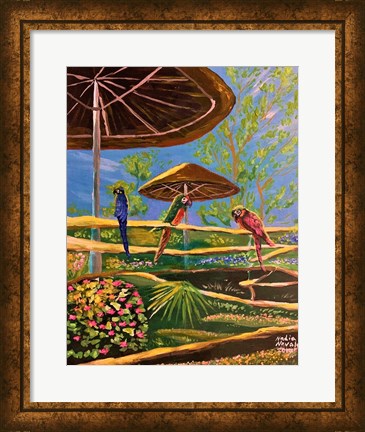 PARROTS AT LION COUNTRY SAFARI – (LIMITED EDITION)
