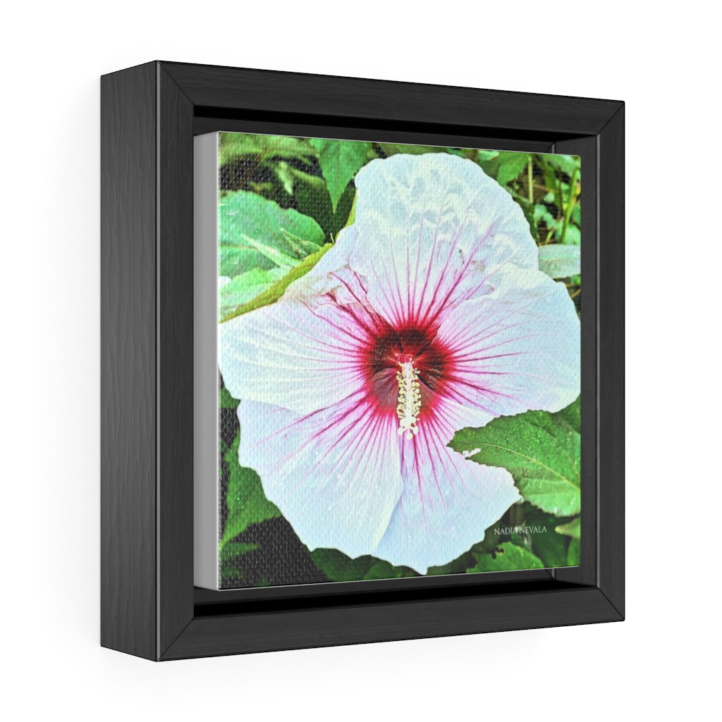White Hawaiian Hibiscus flower by Nadia Nevala Gallery Canvas Wrap, Square Frame - Image 2