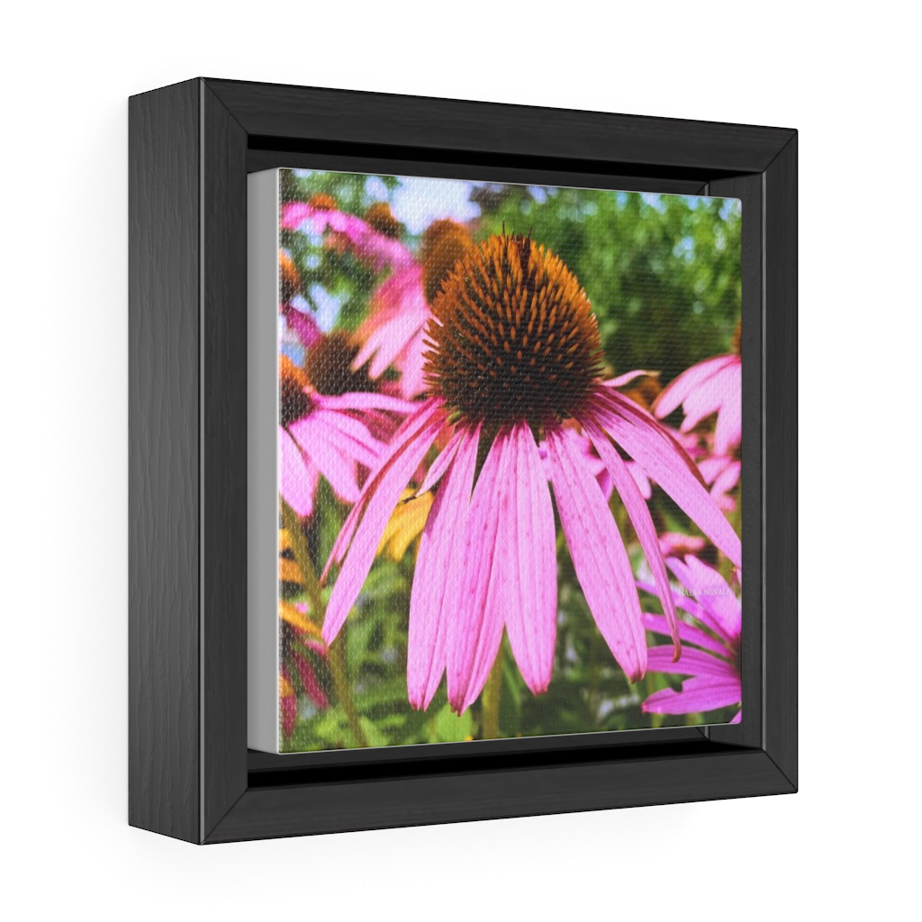Purple coneflower flower by Nadia Nevala Gallery Canvas Wrap, Square Frame - Image 2