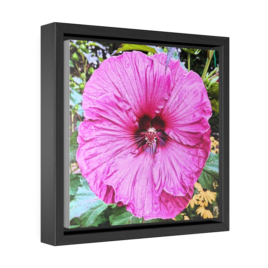 Pink Hollyhock flower by Nadia Nevala Gallery Canvas Wrap, Square Frame - Image 3