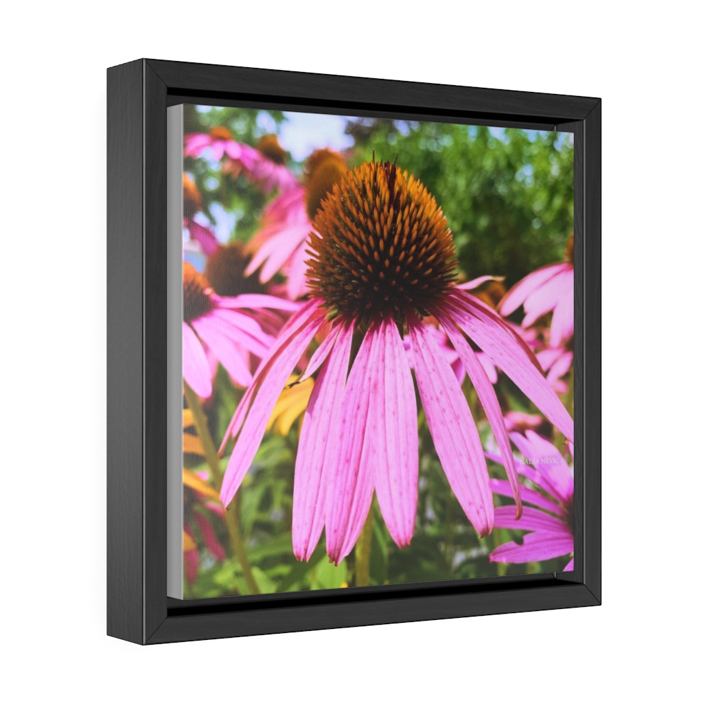 Purple coneflower flower by Nadia Nevala Gallery Canvas Wrap, Square Frame