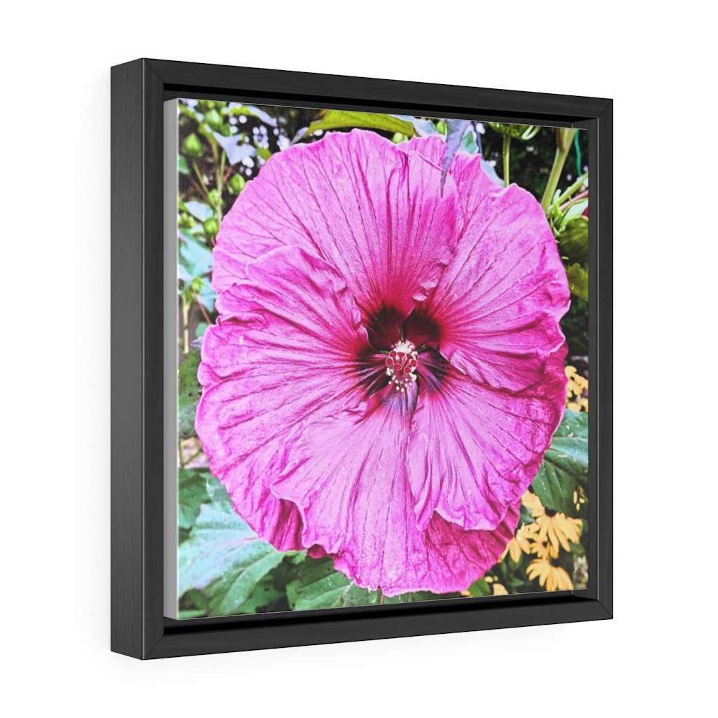 Pink Hollyhock flower by Nadia Nevala Gallery Canvas Wrap, Square Frame