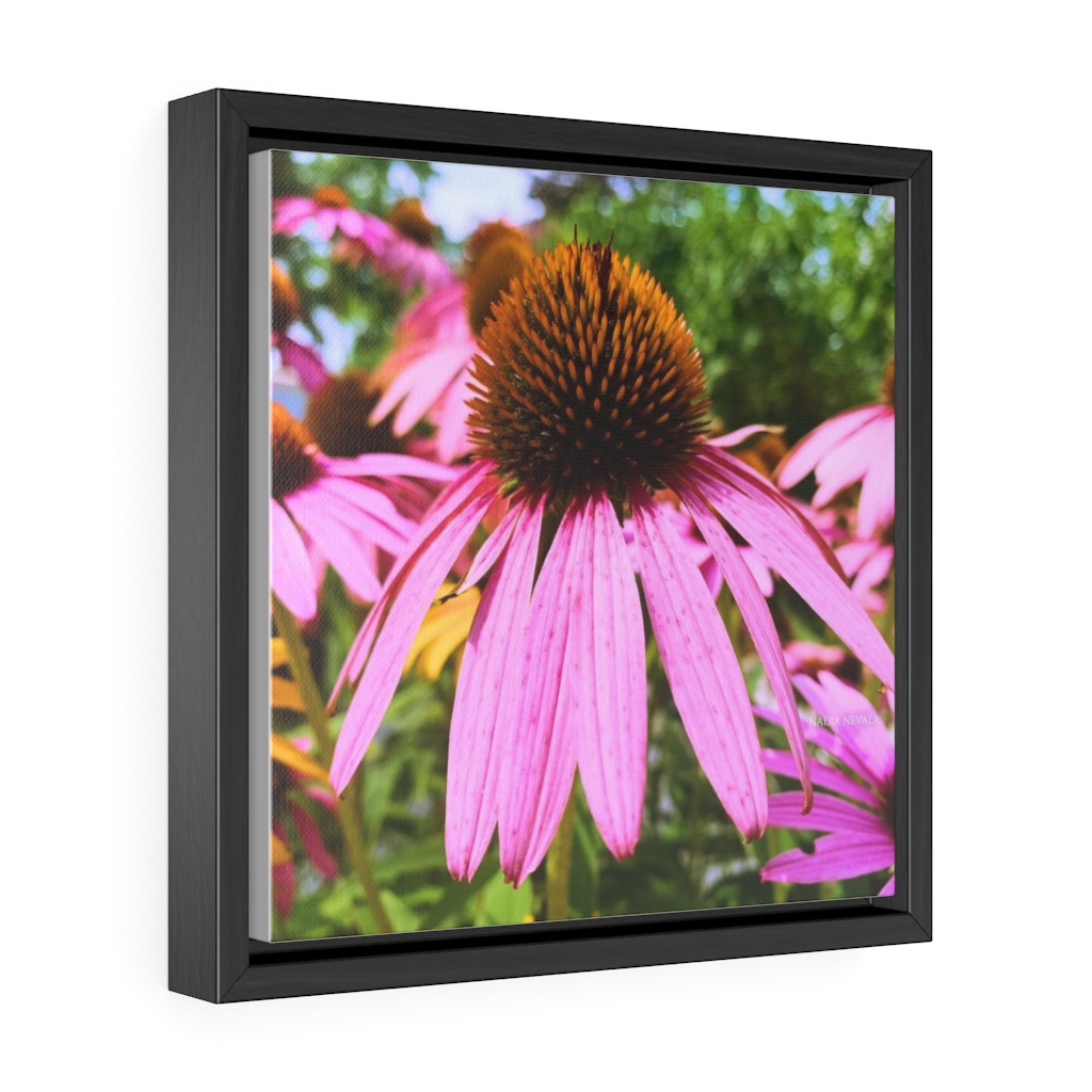 Purple coneflower flower by Nadia Nevala Gallery Canvas Wrap, Square Frame - Image 3