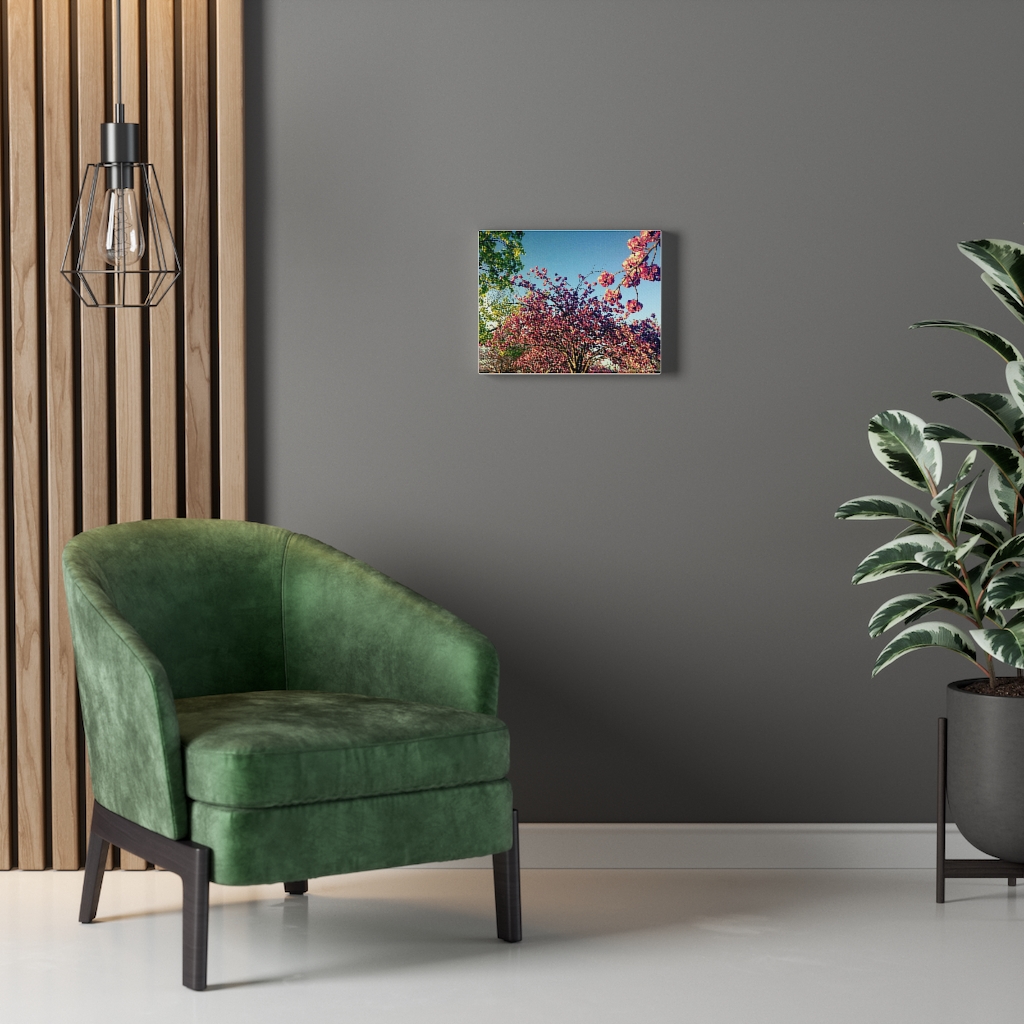 Cherry Blossom by Nadia Nevala - Canvas Gallery Wrap - Image 7