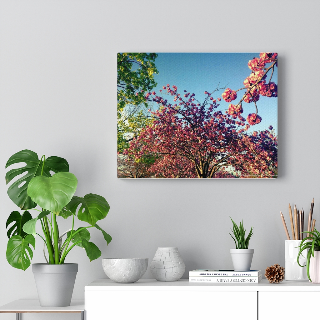 Cherry Blossom by Nadia Nevala - Canvas Gallery Wrap - Image 6