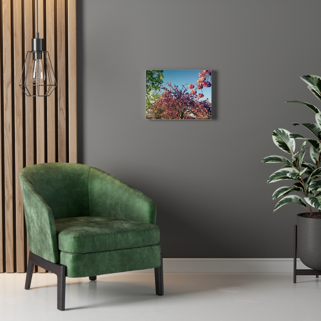 Cherry Blossom by Nadia Nevala - Canvas Gallery Wrap - Image 3