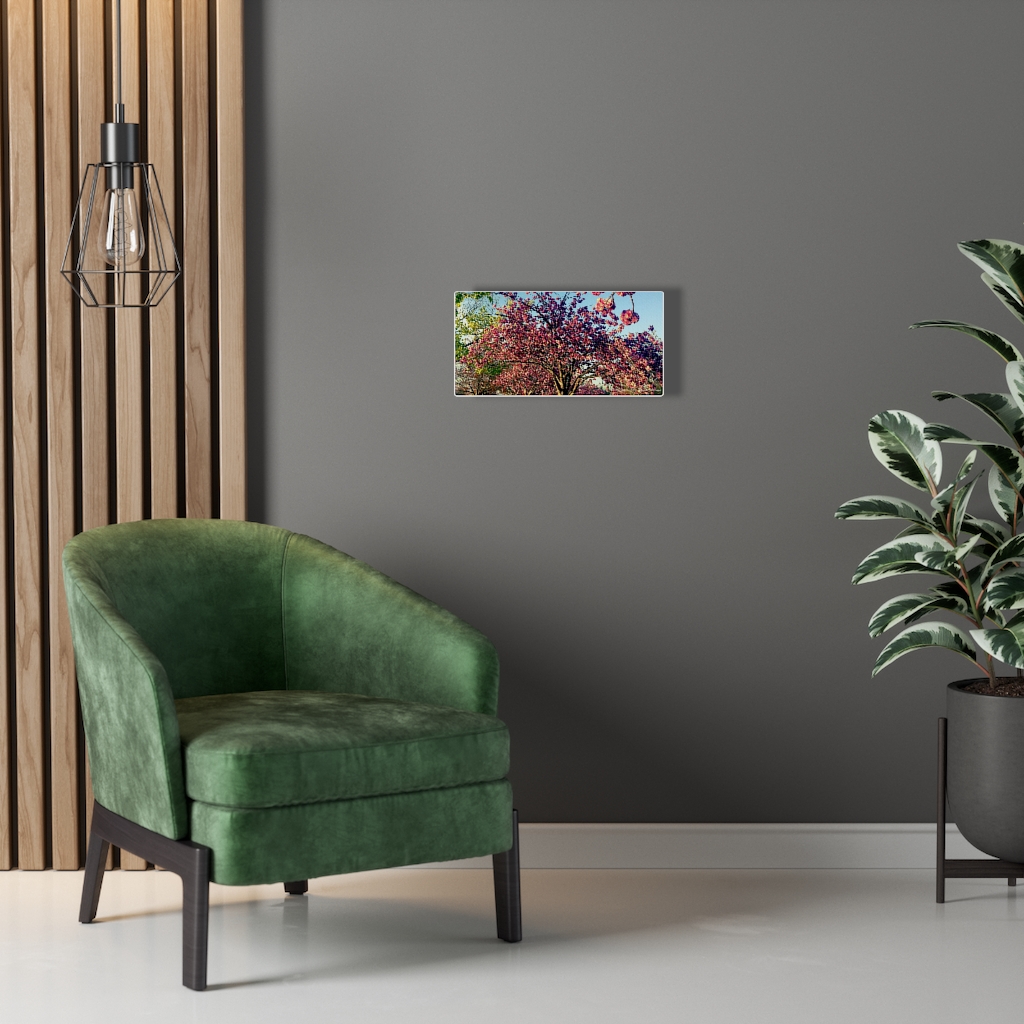 Cherry Blossom by Nadia Nevala - Canvas Gallery Wrap - Image 11