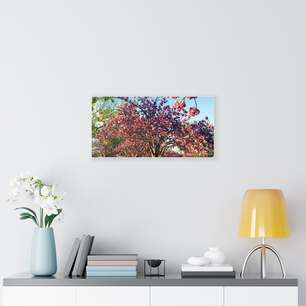 Cherry Blossom by Nadia Nevala - Canvas Gallery Wrap - Image 10