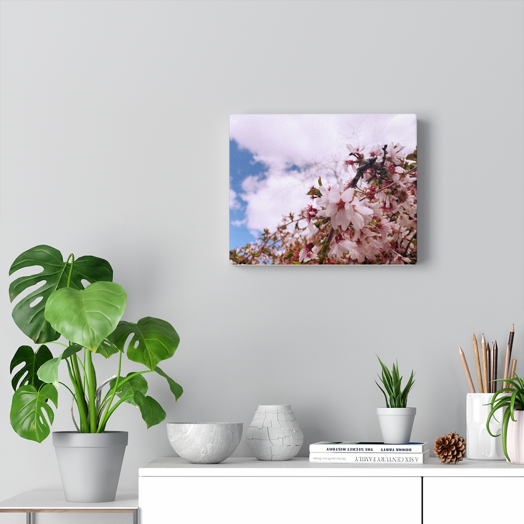 Cherry Blossom Collection by Nadia Nevala - Canvas Gallery Wrap - Image 6