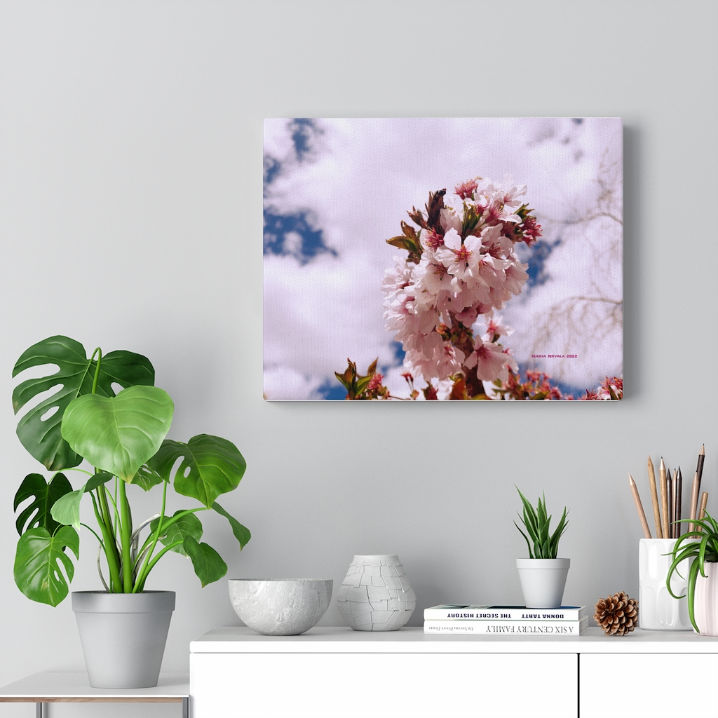 Cherry Blossom Collection by Nadia Nevala - Canvas Gallery Wrap - Image 6