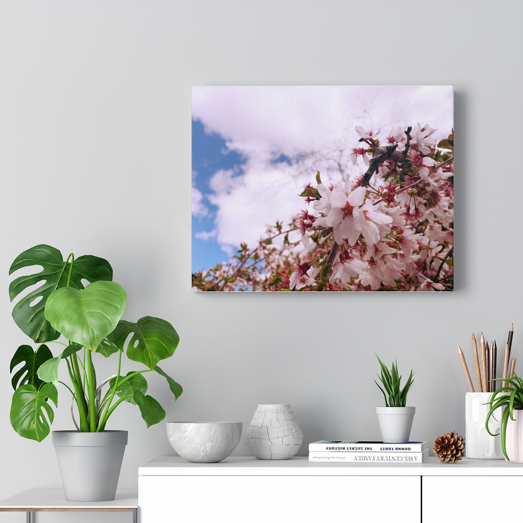 Cherry Blossom Collection by Nadia Nevala - Canvas Gallery Wrap - Image 10