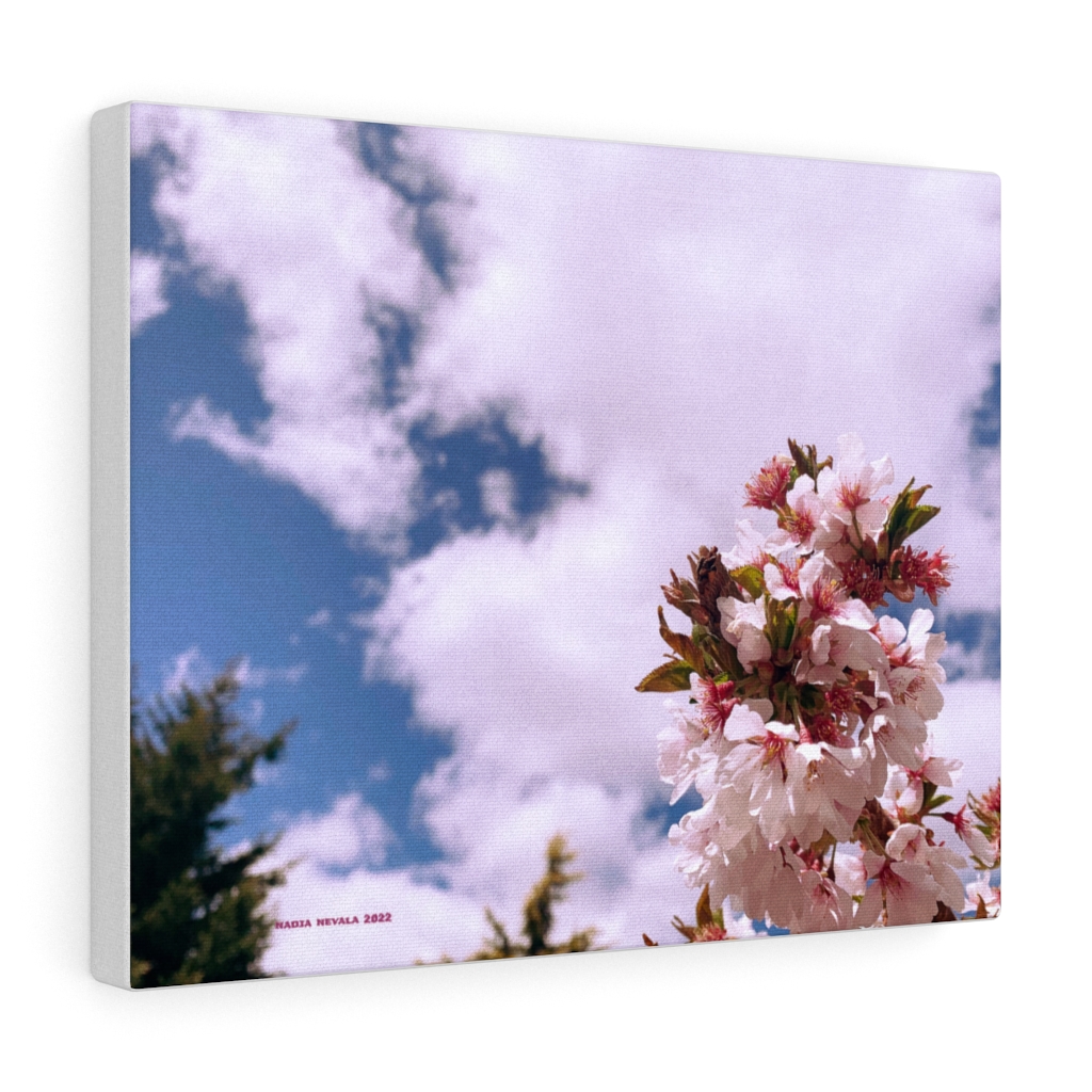 Cherry Blossom Collection by Nadia Nevala - Canvas Gallery Wrap - Image 5