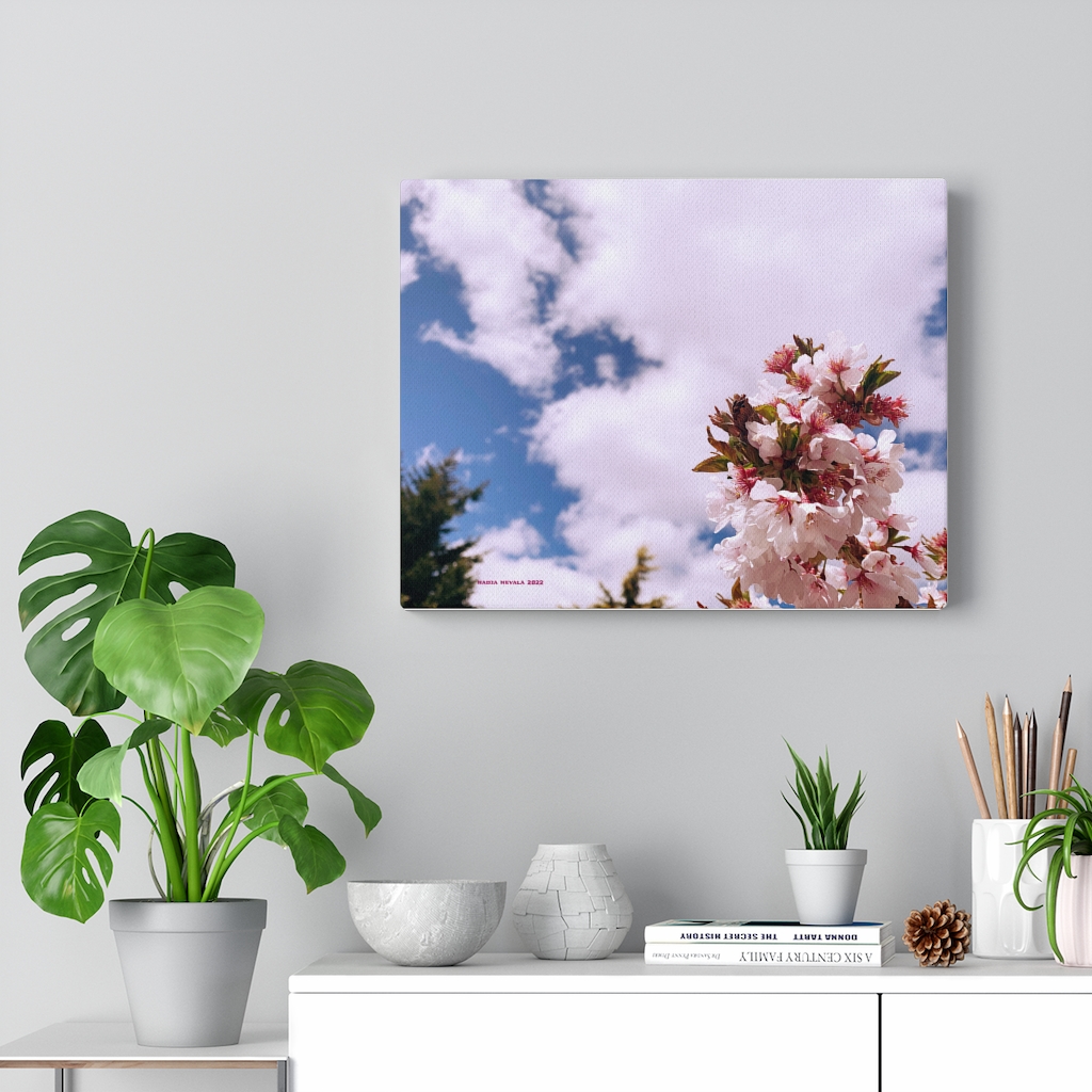 Cherry Blossom Collection by Nadia Nevala - Canvas Gallery Wrap - Image 6