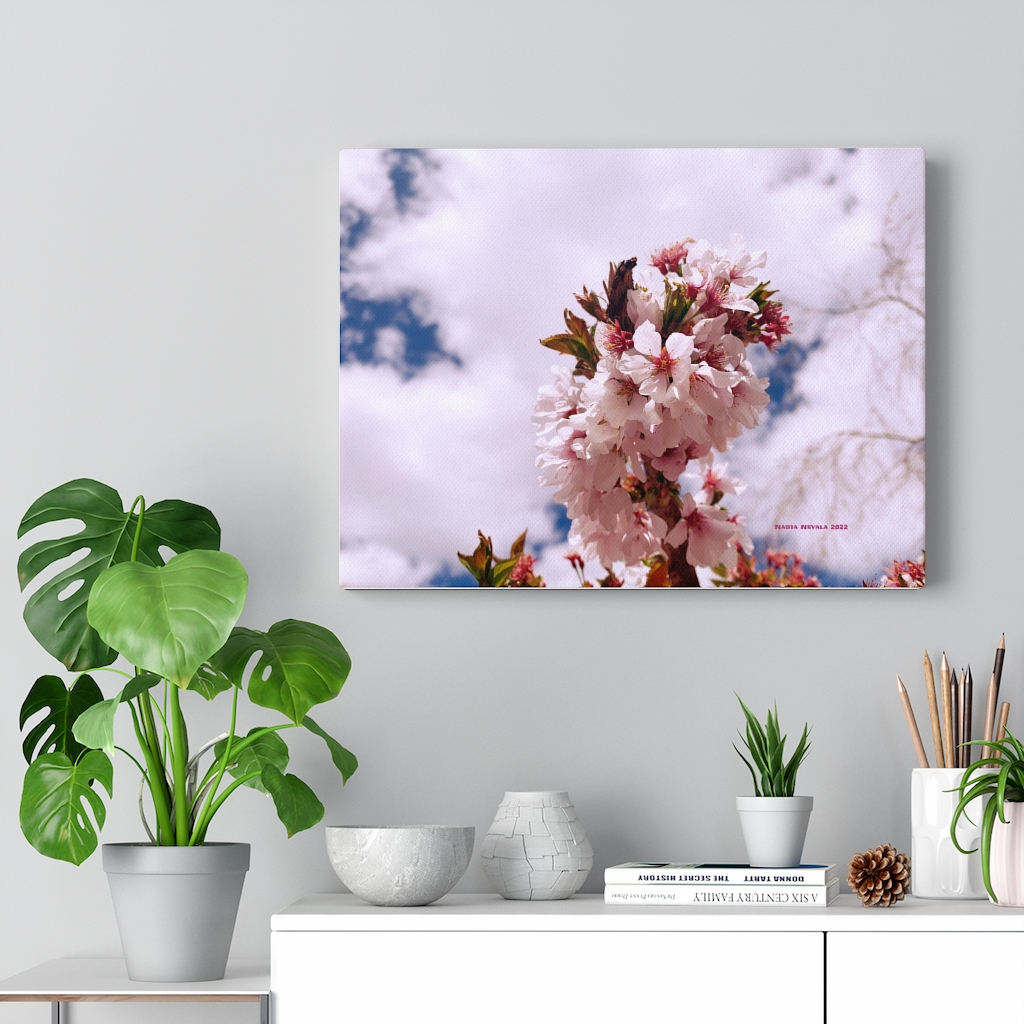 Cherry Blossom Collection by Nadia Nevala - Canvas Gallery Wrap - Image 10