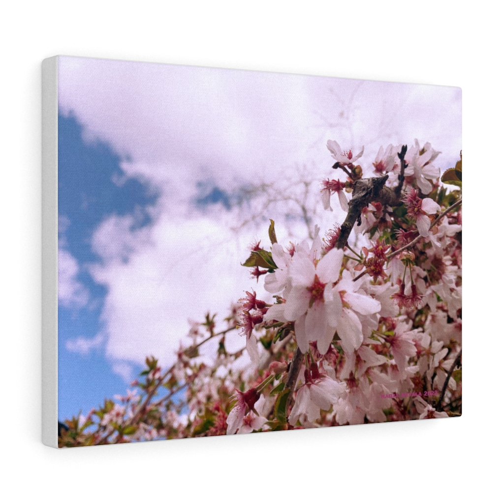 Cherry Blossom Collection by Nadia Nevala - Canvas Gallery Wrap - Image 13