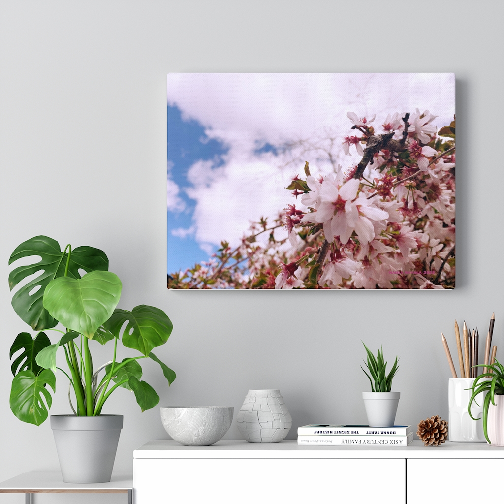cherry blossom collection