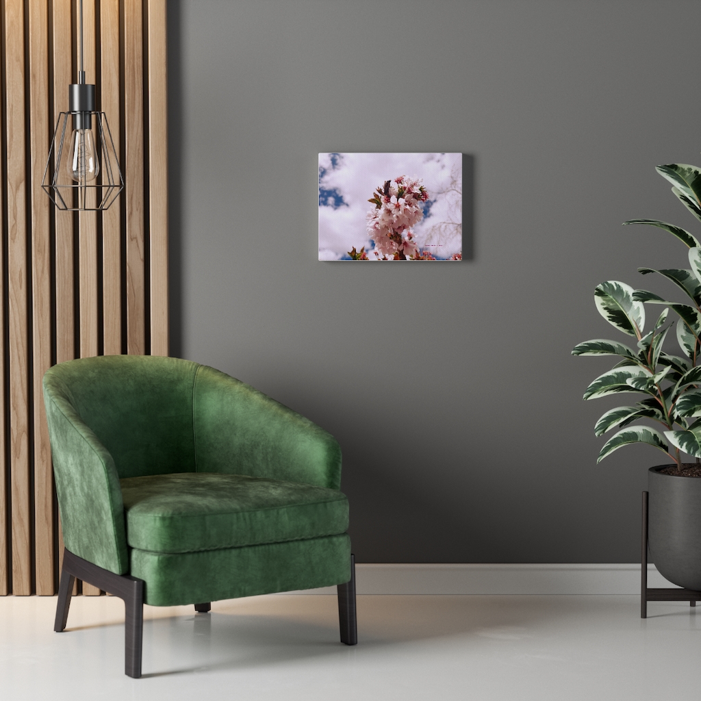 Cherry Blossom Collection by Nadia Nevala - Canvas Gallery Wrap - Image 11
