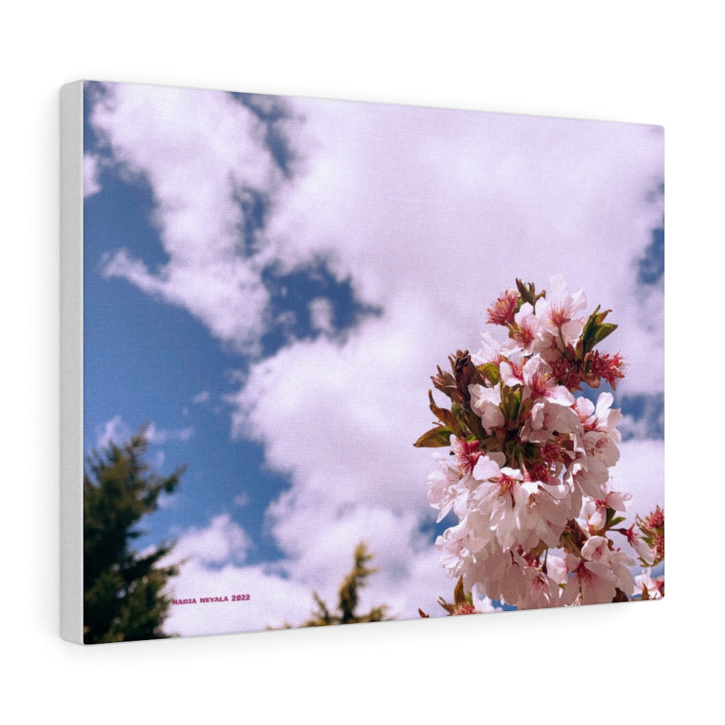 Cherry Blossom Collection by Nadia Nevala - Canvas Gallery Wrap - Image 9