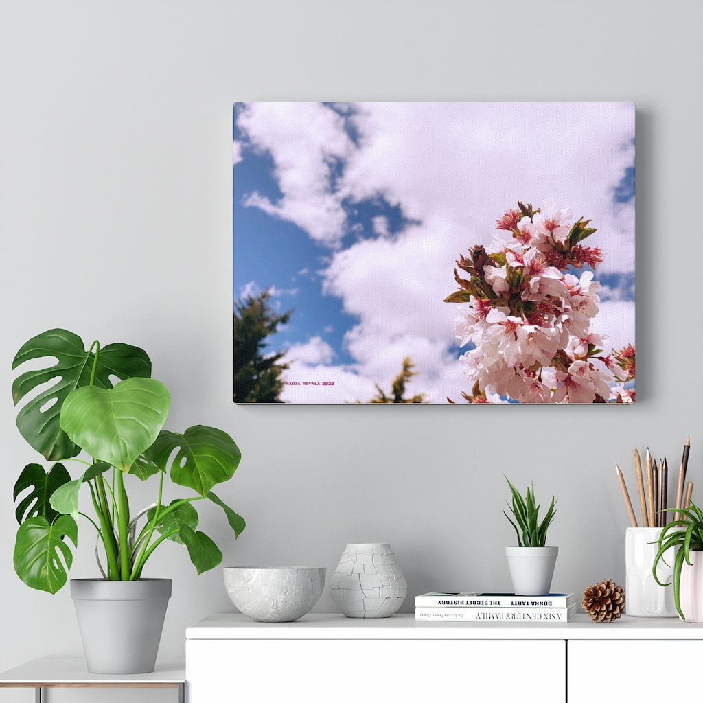 Cherry Blossom Collection by Nadia Nevala - Canvas Gallery Wrap - Image 10