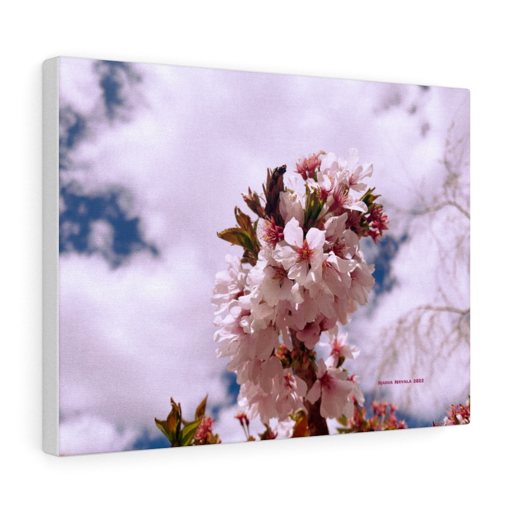 Cherry Blossom Collection by Nadia Nevala - Canvas Gallery Wrap - Image 9