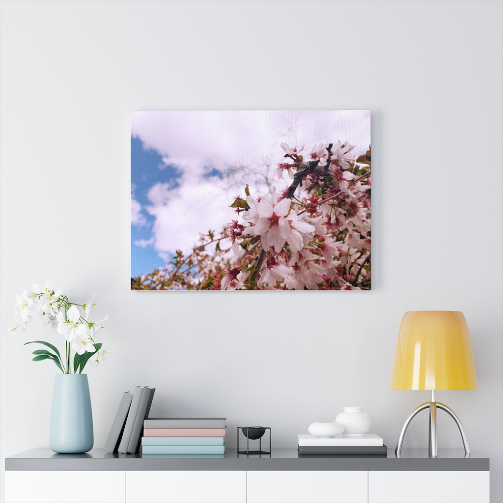 Cherry Blossom Collection by Nadia Nevala - Canvas Gallery Wrap - Image 18