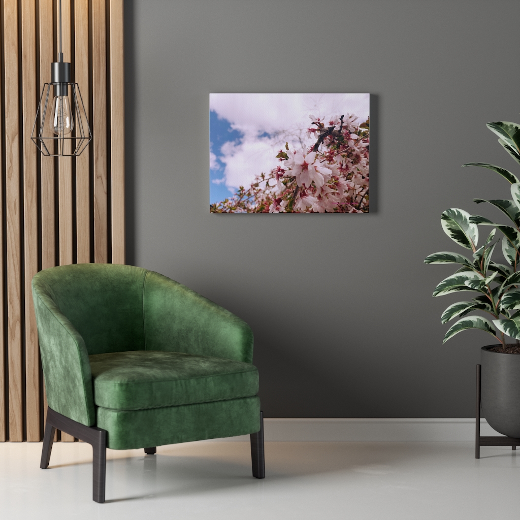 Cherry Blossom Collection by Nadia Nevala - Canvas Gallery Wrap - Image 19