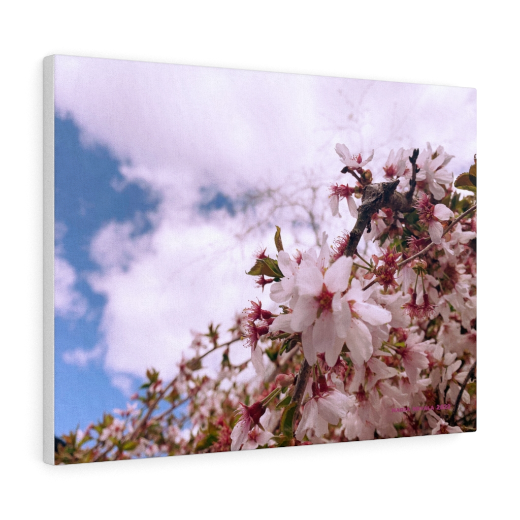 Cherry Blossom Collection by Nadia Nevala - Canvas Gallery Wrap - Image 17