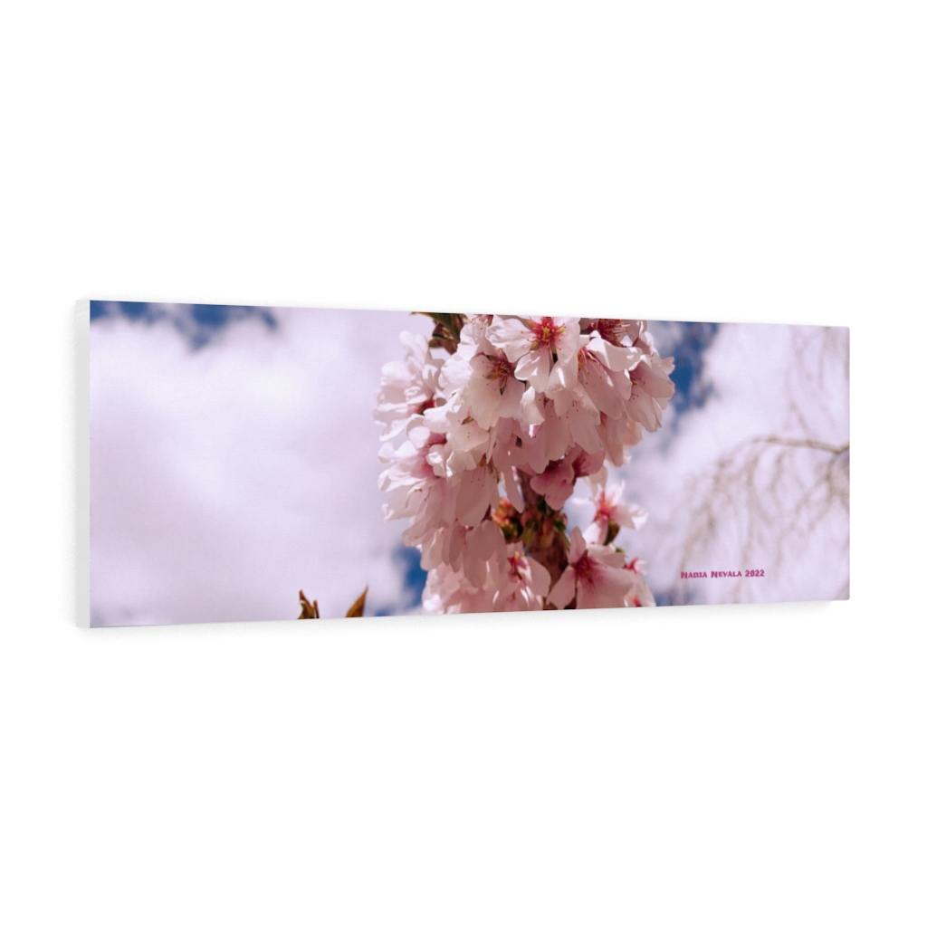 Cherry Blossom Collection by Nadia Nevala - Canvas Gallery Wrap - Image 2