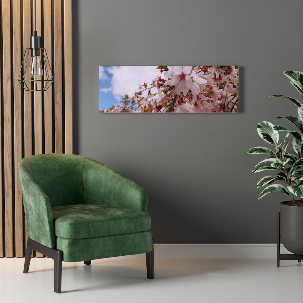 Cherry Blossom Collection by Nadia Nevala - Canvas Gallery Wrap