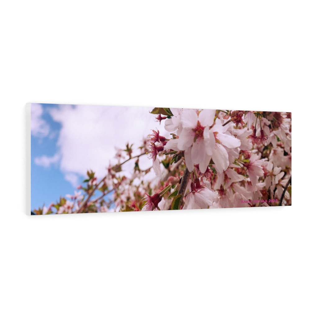Cherry Blossom Collection by Nadia Nevala - Canvas Gallery Wrap - Image 2