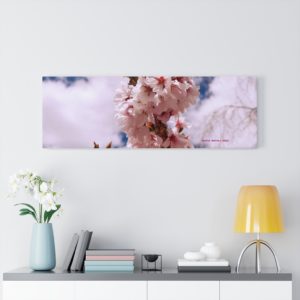 Cherry Blossom Collection by Nadia Nevala - Canvas Gallery Wrap