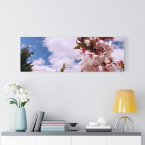 Cherry Blossom Collection by Nadia Nevala - Canvas Gallery Wrap