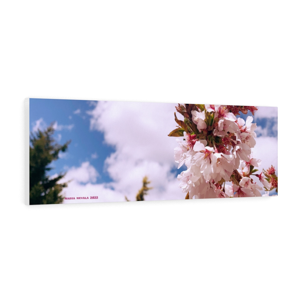 Cherry Blossom Collection by Nadia Nevala - Canvas Gallery Wrap - Image 2