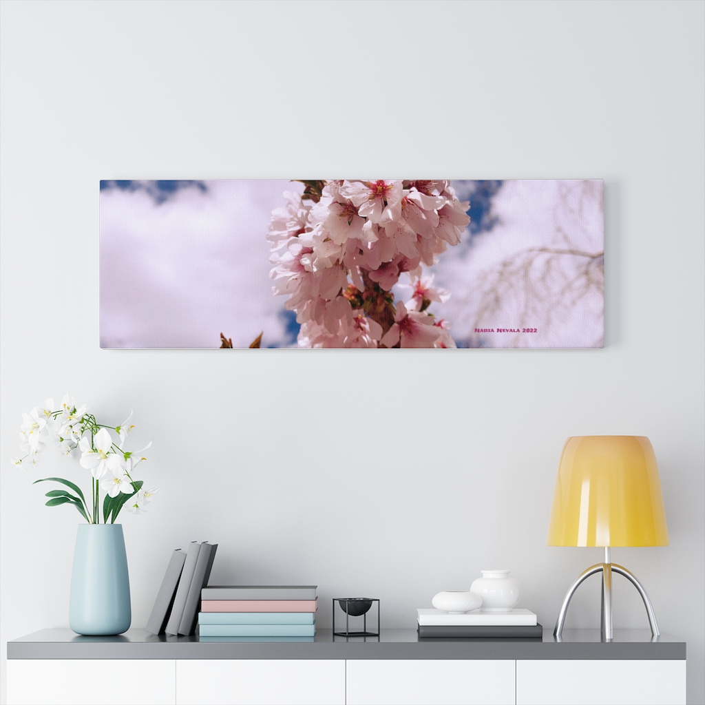 Cherry Blossom Collection by Nadia Nevala - Canvas Gallery Wrap