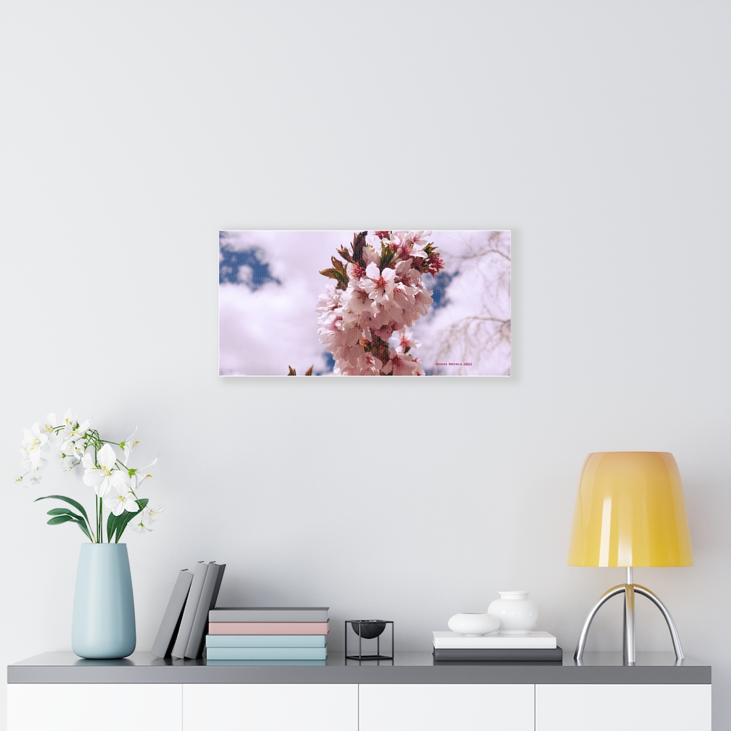 Cherry Blossom Collection by Nadia Nevala - Canvas Gallery Wrap - Image 14