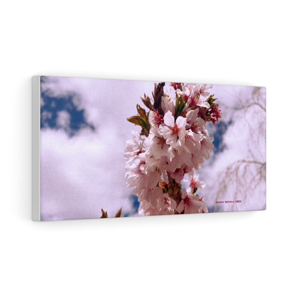 Cherry Blossom Collection by Nadia Nevala - Canvas Gallery Wrap - Image 13