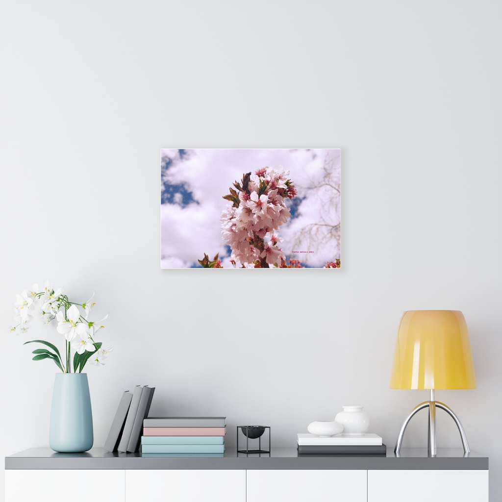 Cherry Blossom Collection by Nadia Nevala - Canvas Gallery Wrap - Image 18