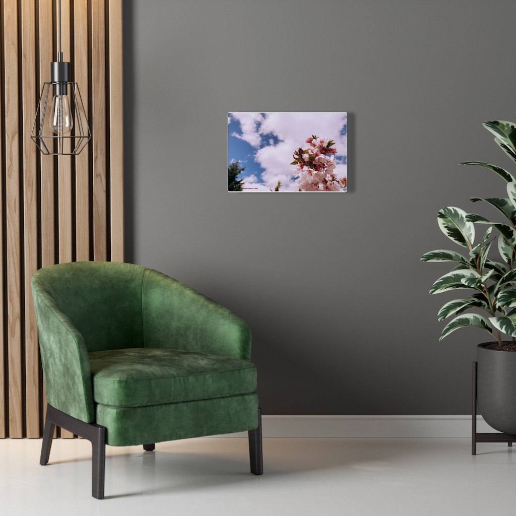Cherry Blossom Collection by Nadia Nevala - Canvas Gallery Wrap - Image 15