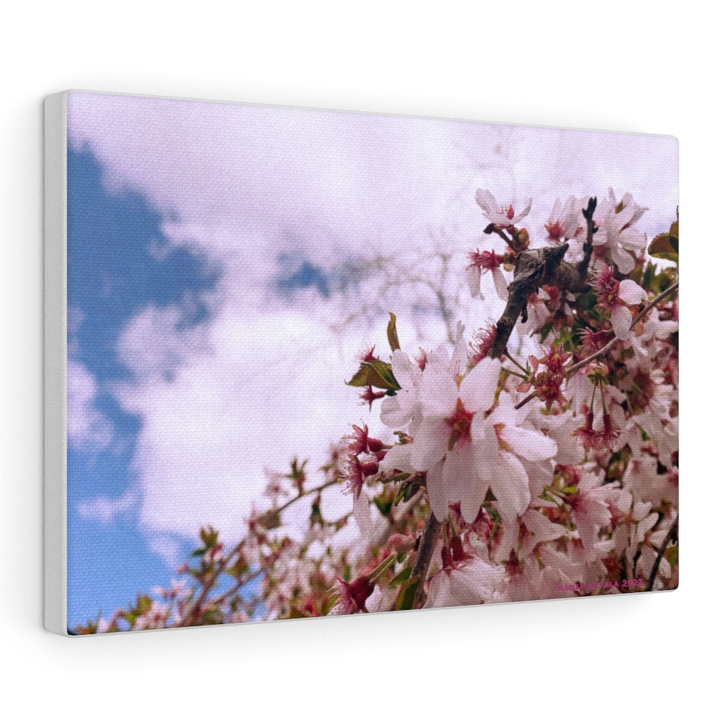Cherry Blossom Collection by Nadia Nevala - Canvas Gallery Wrap - Image 21