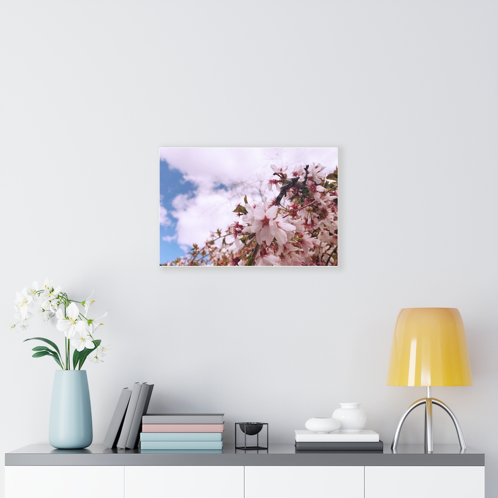 Cherry Blossom Collection by Nadia Nevala - Canvas Gallery Wrap - Image 22