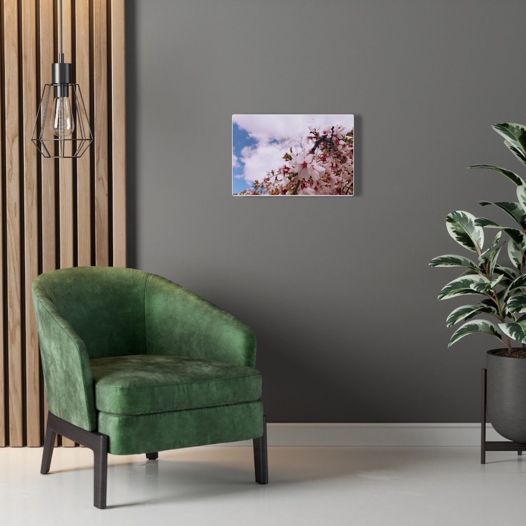 Cherry Blossom Collection by Nadia Nevala - Canvas Gallery Wrap - Image 23
