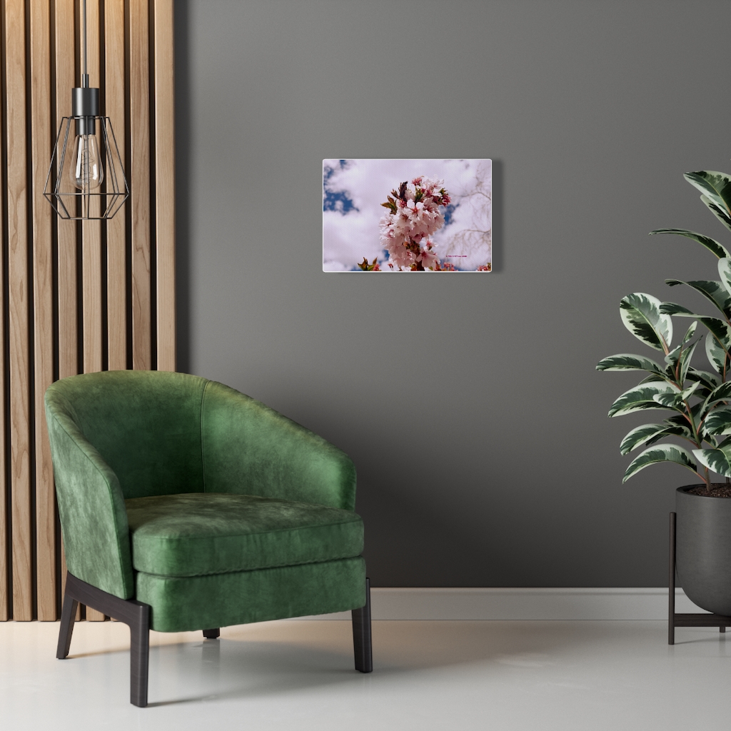 Cherry Blossom Collection by Nadia Nevala - Canvas Gallery Wrap - Image 19