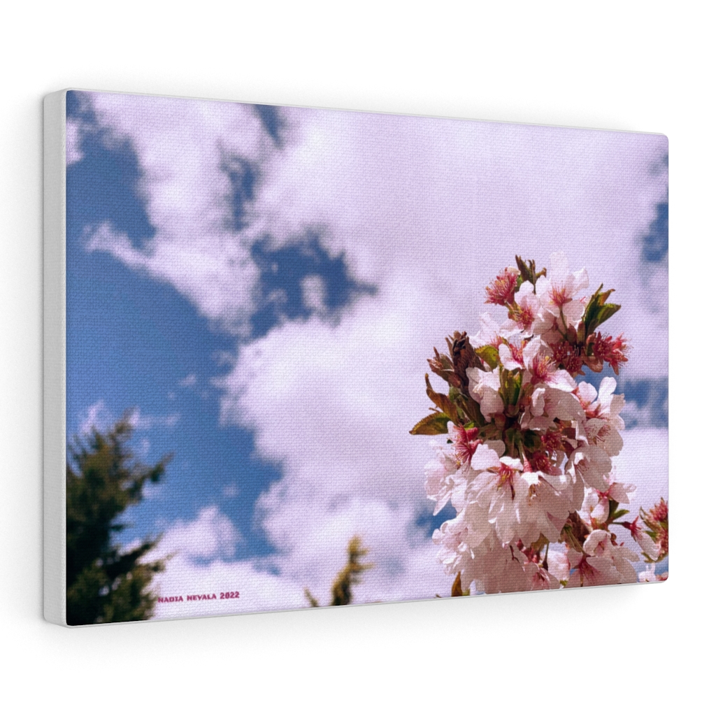 Cherry Blossom Collection by Nadia Nevala - Canvas Gallery Wrap - Image 13