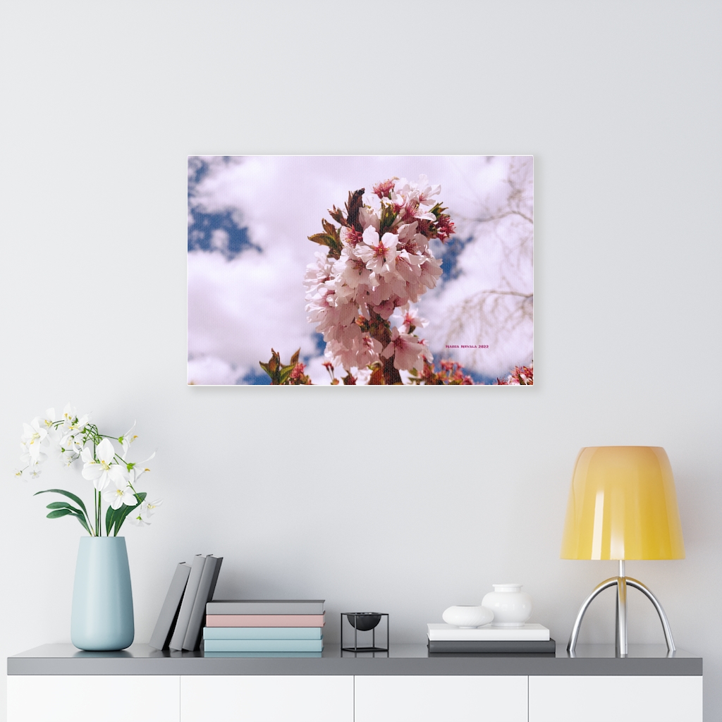 Cherry Blossom Collection by Nadia Nevala - Canvas Gallery Wrap - Image 26