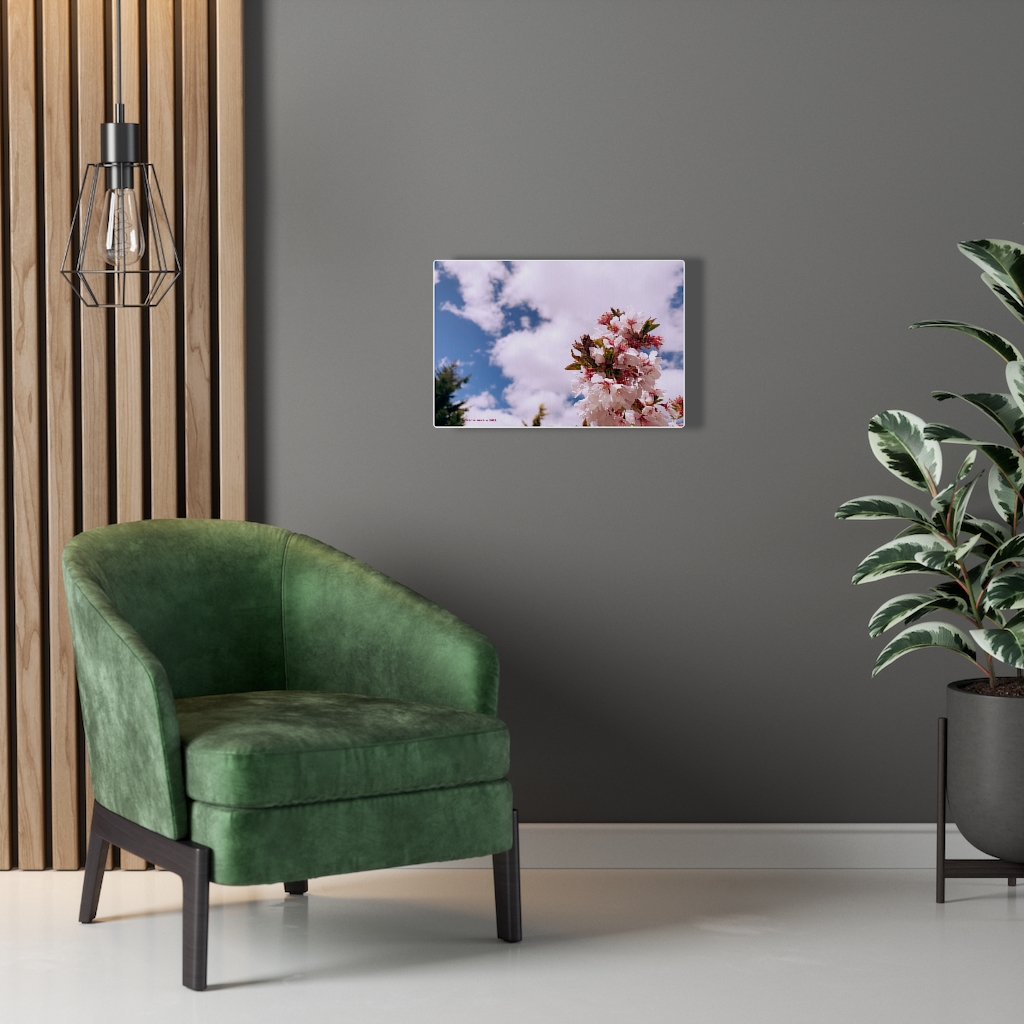 Cherry Blossom Collection by Nadia Nevala - Canvas Gallery Wrap - Image 23