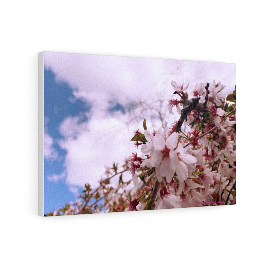 Cherry Blossom Collection by Nadia Nevala - Canvas Gallery Wrap - Image 29