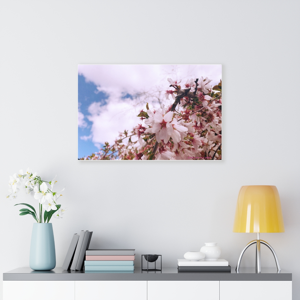 Cherry Blossom Collection by Nadia Nevala - Canvas Gallery Wrap - Image 30