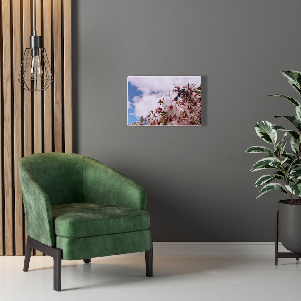 Cherry Blossom Collection by Nadia Nevala - Canvas Gallery Wrap - Image 31