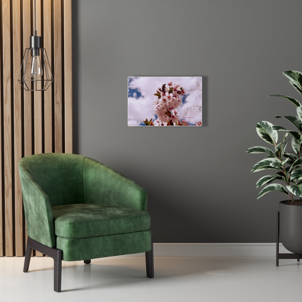 Cherry Blossom Collection by Nadia Nevala - Canvas Gallery Wrap - Image 27